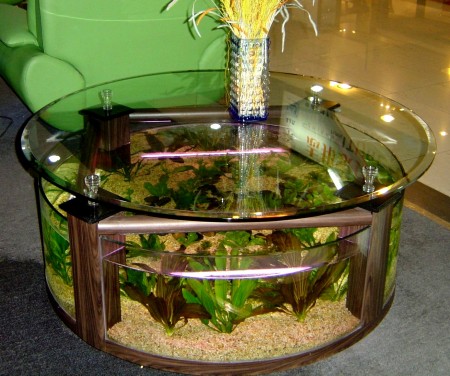 coffee-table-aquarium-design-ideas2